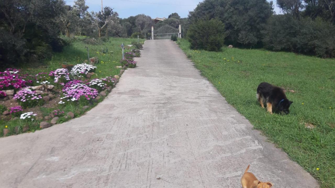 Willa La_Casa_Di_ Willy Canai Zewnętrze zdjęcie